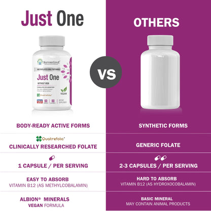 NatureGenX Just One Daily Methylated Multivitamin – 60 Vegan Capsules, USA-Made, Iron-Free