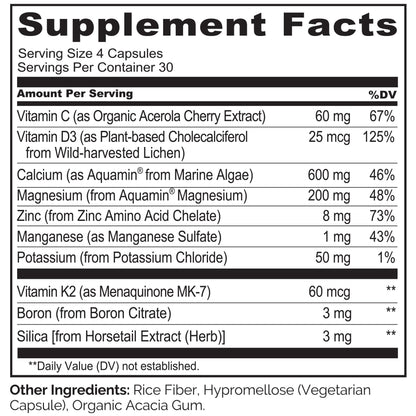 NATURELO Calcium 600 mg with D3, K2, Magnesium & Zinc – Plant-Based, 120 Veggie Capsules