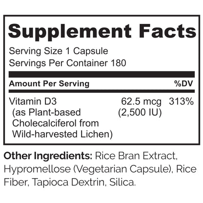 NATURELO Vitamin D3 2500 IU - Plant-Based from Lichen | Vegan & Gluten Free