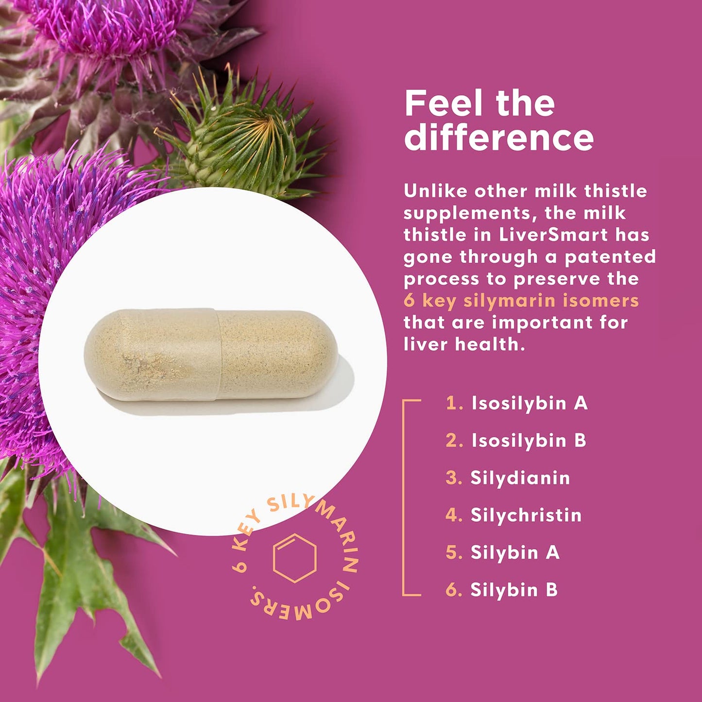 Naturenetics Milk Thistle Liver Cleanse & Support Supplement, 60 Veggie Capsules | 80% Silymarin, Artichoke & Dandelion, Vegan, Gluten-Free | 6-Pack
