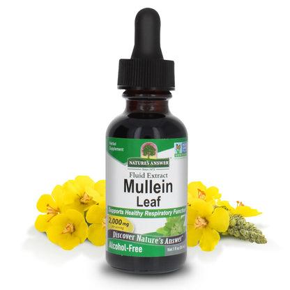Nature's Answer Mullein Leaf Extract – Alcohol-Free, Non-GMO, Made in USA – Supports Respiratory Health | 1 oz
