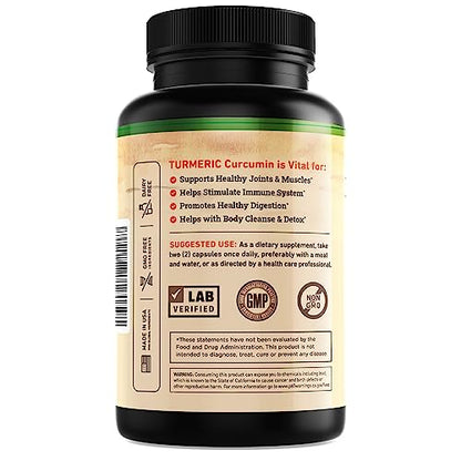 Nature's Base Turmeric & Ginger Supplement – 95% Curcuminoids, 120 Caps