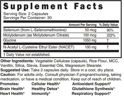 Nature's Fusions Neuro NAC with NACET – Pack of 2, 120 Capsules | 20x More Bioavailable NACET