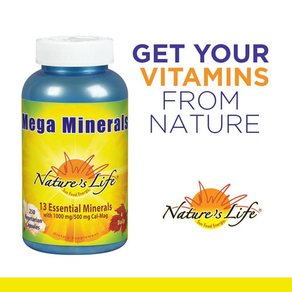Nature's Life Mega Minerals Complex | Complete Multi Mineral + Vitamin D3 | 250 Vegetarian Capsules