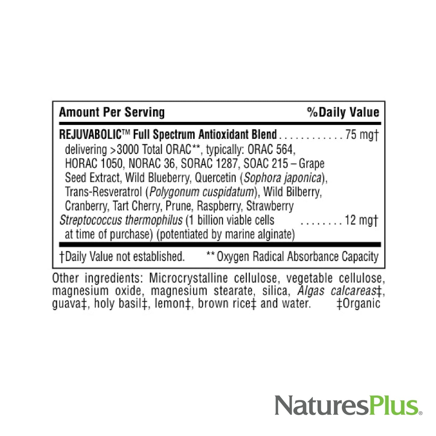 Natures Plus AgeLoss Hearing Support - 90 Capsules - Vegetarian & Gluten Free | 30 Servings