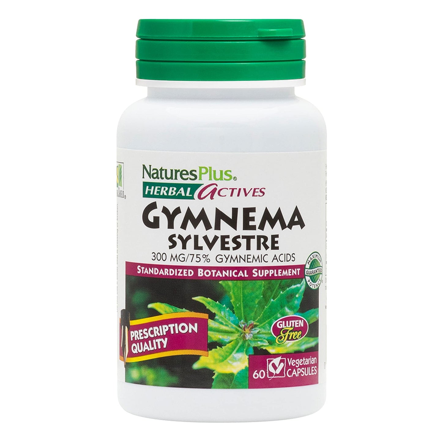 Natures Plus Herbal Actives Gymnema Sylvestre 300 mg - 60 Vegan Capsules