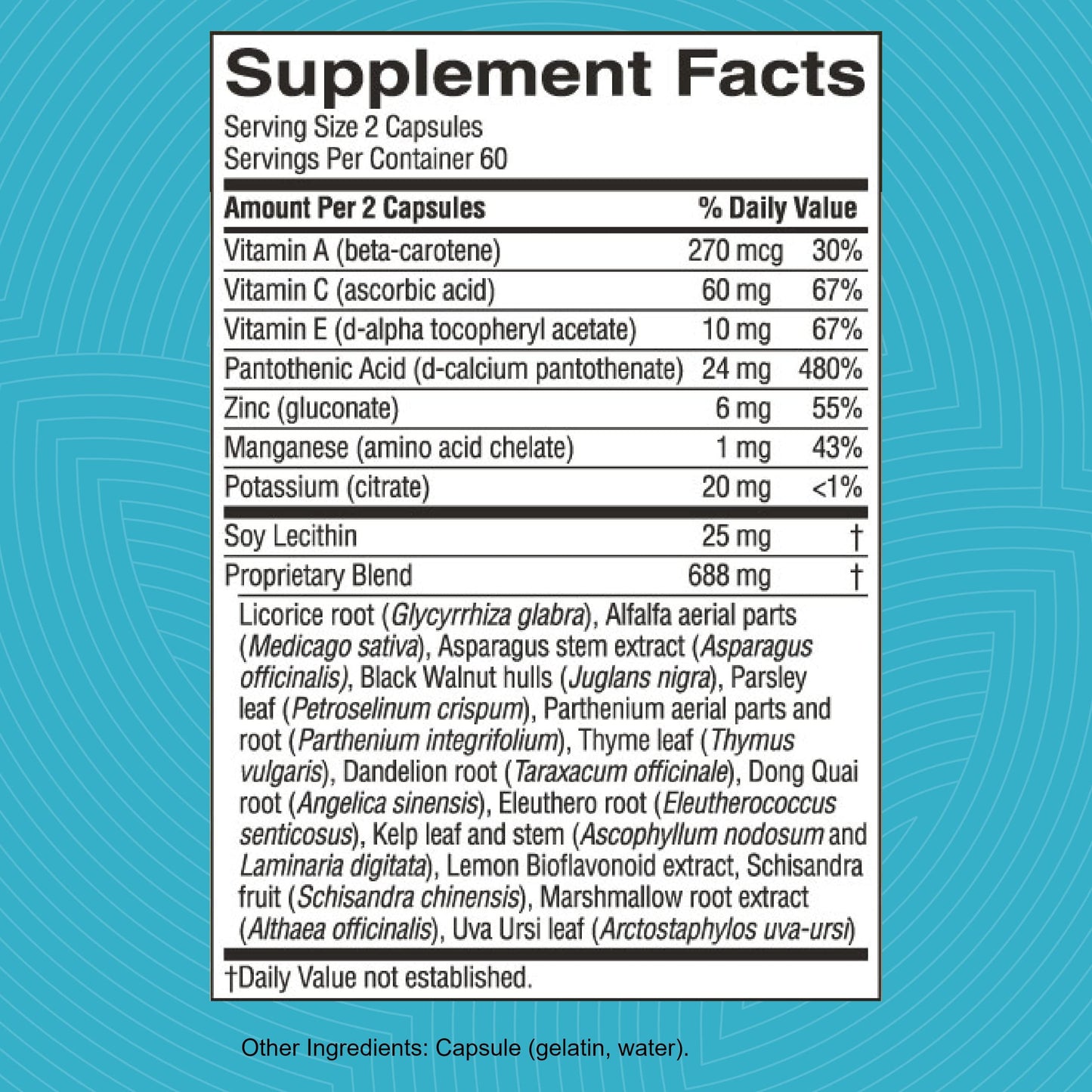 Nature's Sunshine Master Gland - 120 Capsules | Complete Nutritional Support for Every Gland & Energy Metabolism