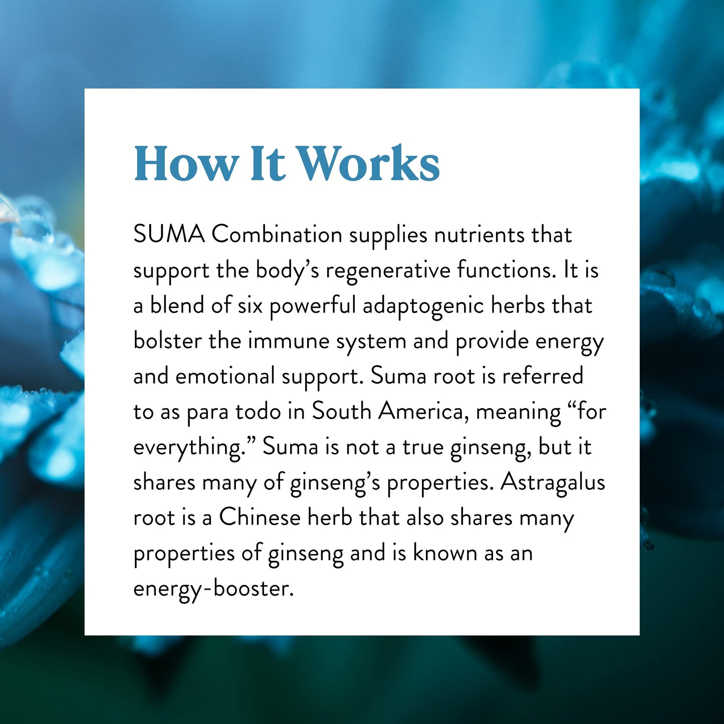 Nature's Sunshine Suma Combination, 100 Capsules | Immune Support & Energy with Six Adaptogenic Herbs