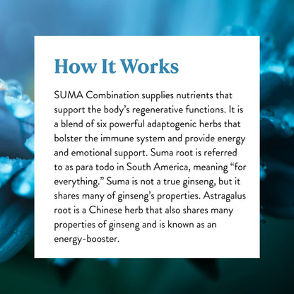 Nature's Sunshine Suma Combination, 100 Capsules | Immune Support & Energy with Six Adaptogenic Herbs