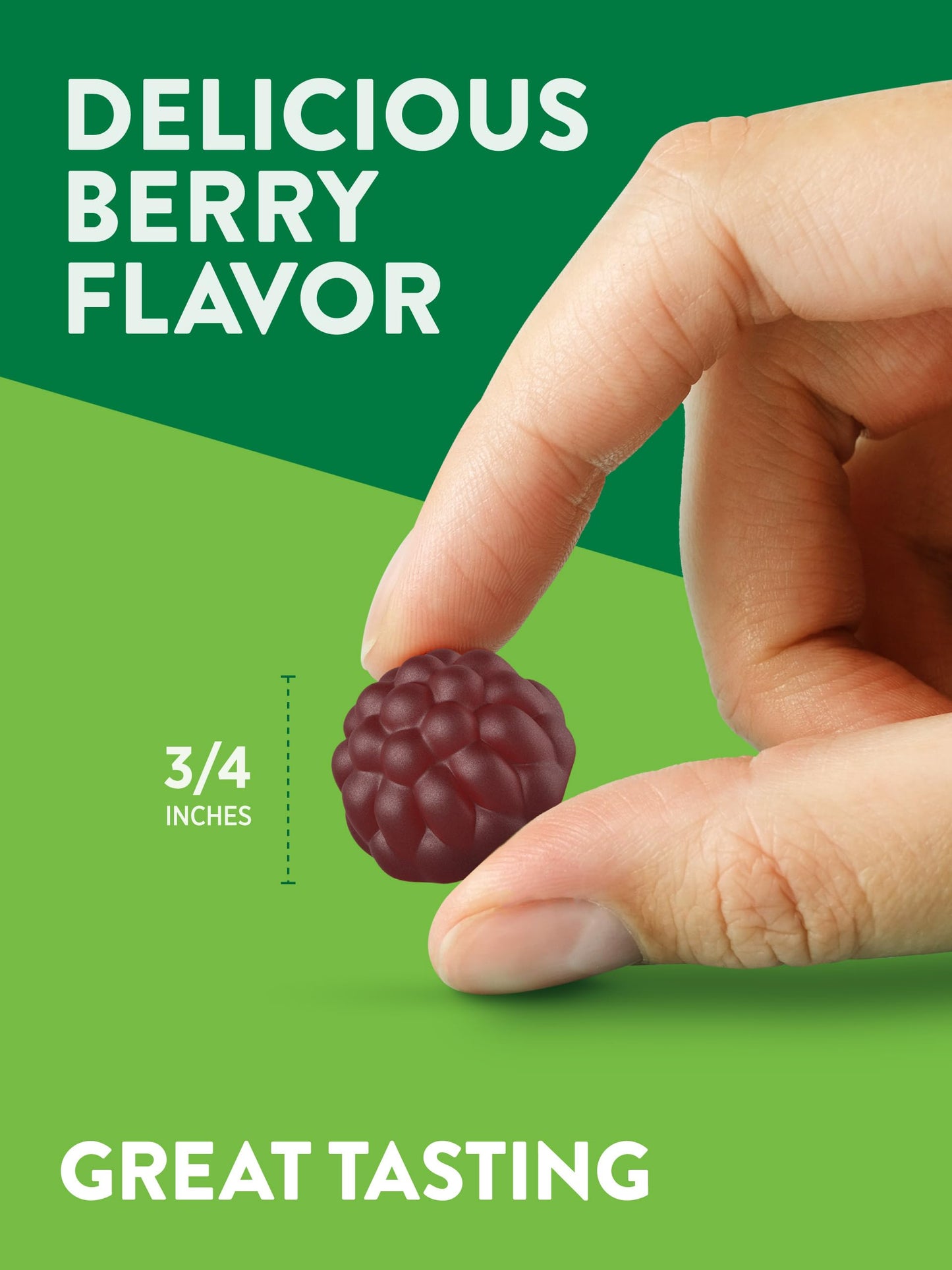 Nature's Truth Black Elderberry Gummies – Vegan, Gluten Free, Non-GMO | Vitamin C & Zinc