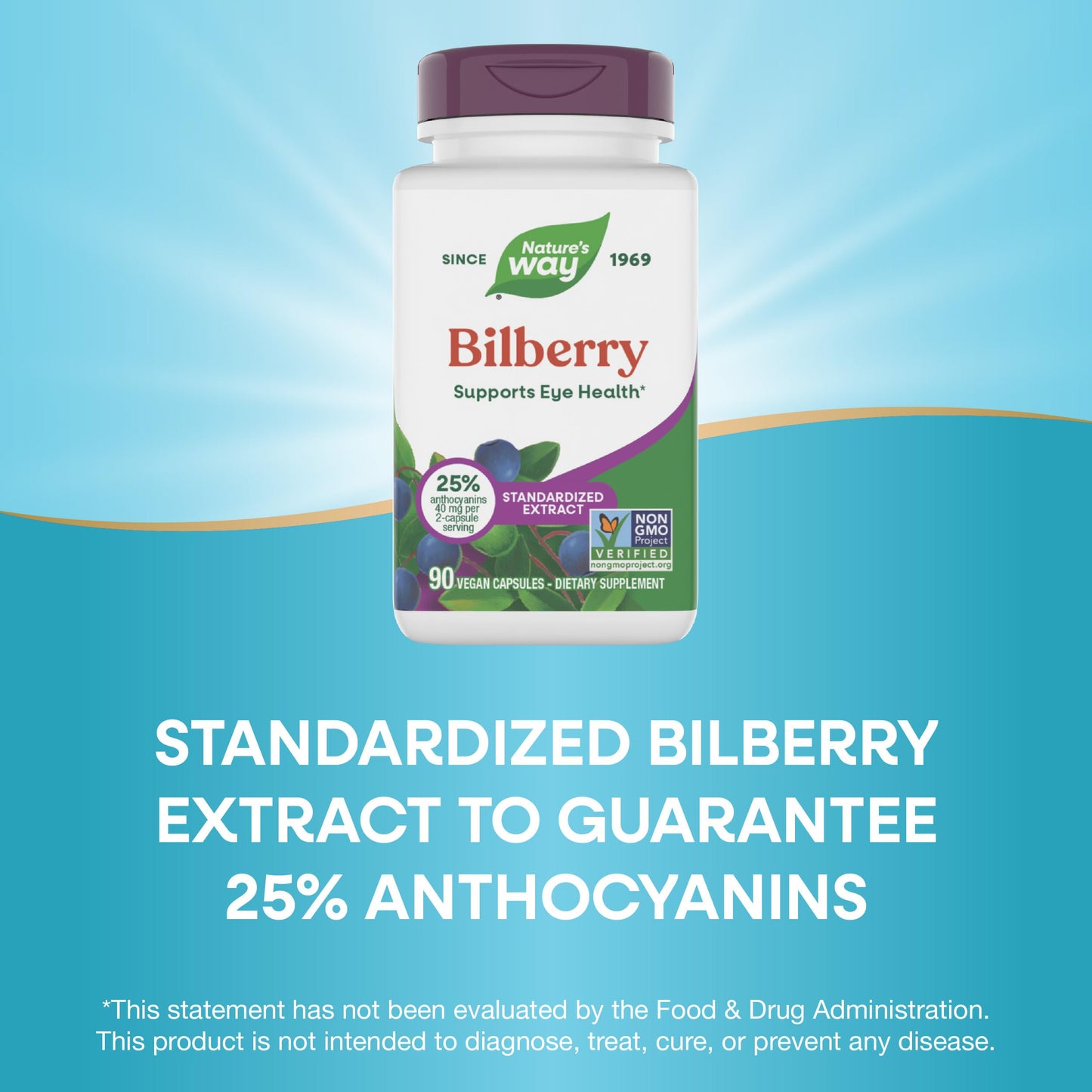 Nature's Way Bilberry Premium Extract - Eye Health Support, 90 Capsules