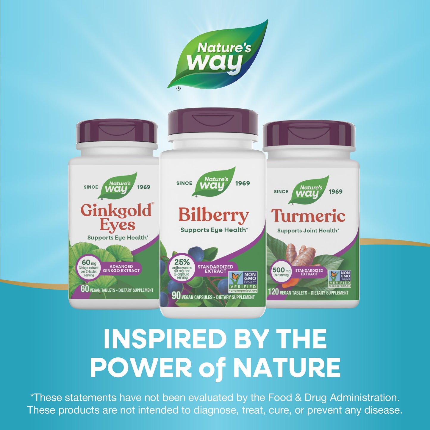 Nature's Way Bilberry Premium Extract - Eye Health Support, 90 Capsules