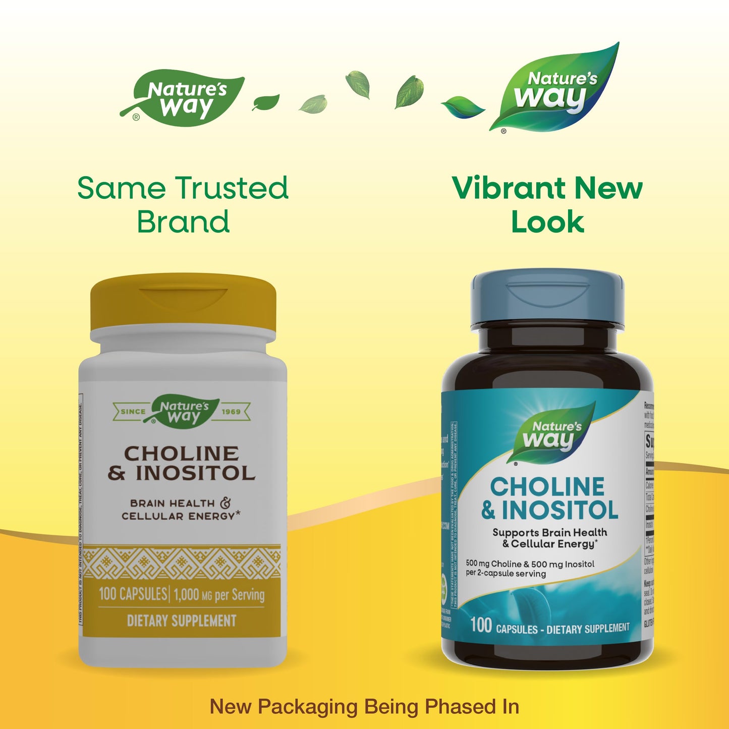 Nature's Way Choline & Inositol — 500 mg/500 mg per 2-Capsule Serving, Brain Health & Cellular Energy, 100 Capsules (Gluten Free)