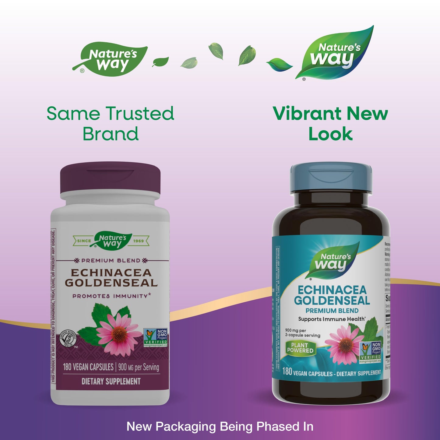 Nature's Way Echinacea Goldenseal - 900 mg Echinacea, 7-Herb Blend Immune Support | Gluten Free | 180 Vegan Capsules (Pack of 2)