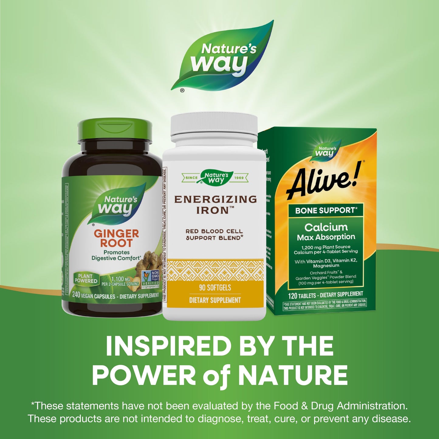 Nature's Way Energizing Iron - Red Blood Cell Support | 8 mg Iron, 200 mcg B12 | Gluten Free