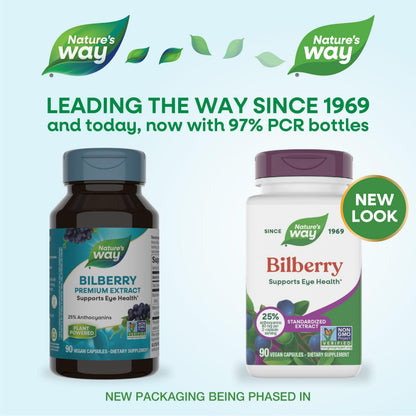 Nature's Way Bilberry Premium Extract - Eye Health Support, 90 Capsules