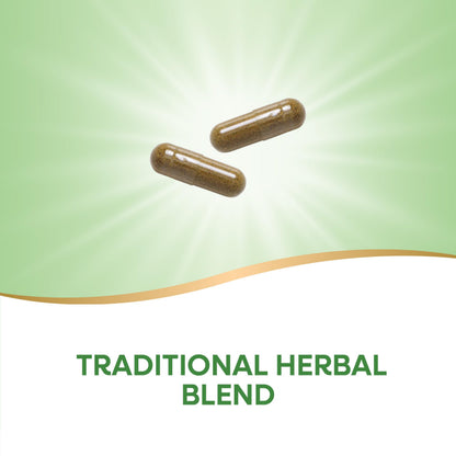Nature's Way Kidney Bladder Premium Blend, Traditional Herbs Supplement, 900 mg per 2-Capsule Serving, Non-GMO Project Verified, Vegan, 100 Capsules (Packaging May Vary)