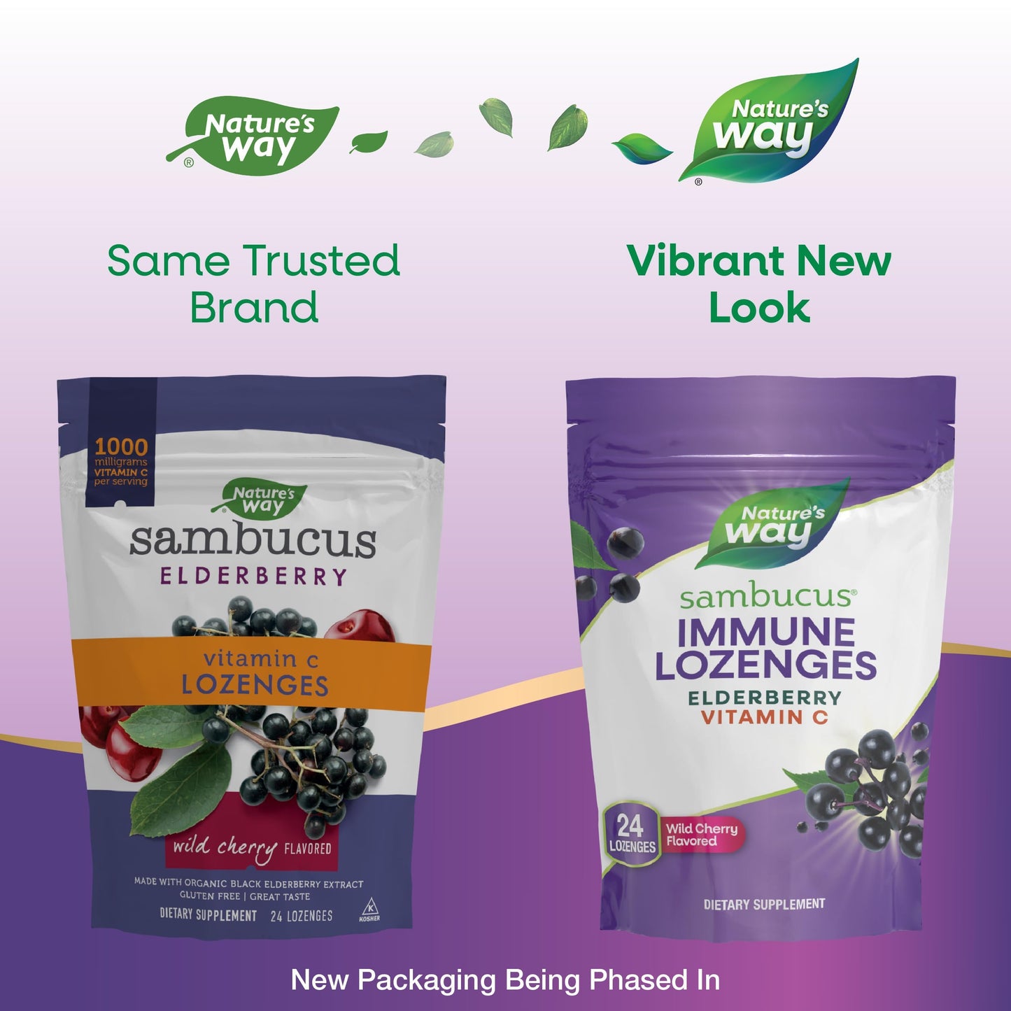 Nature’s Way Sambucus Immune Lozenges – High Potency Vitamin C + Elderberry