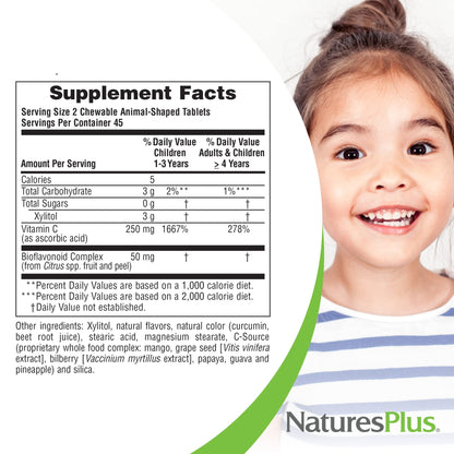 NaturesPlus Animal Parade Sugar-Free Vitamin C — 90 Chewables, Natural Orange Flavor, Immune Support, Gluten Free
