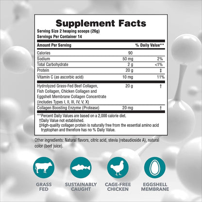 NaturesPlus Collagen Peptides Berry Lemonade – 0.8 lb Powder (Pack of 2) for Hair, Skin, Nails & Joints