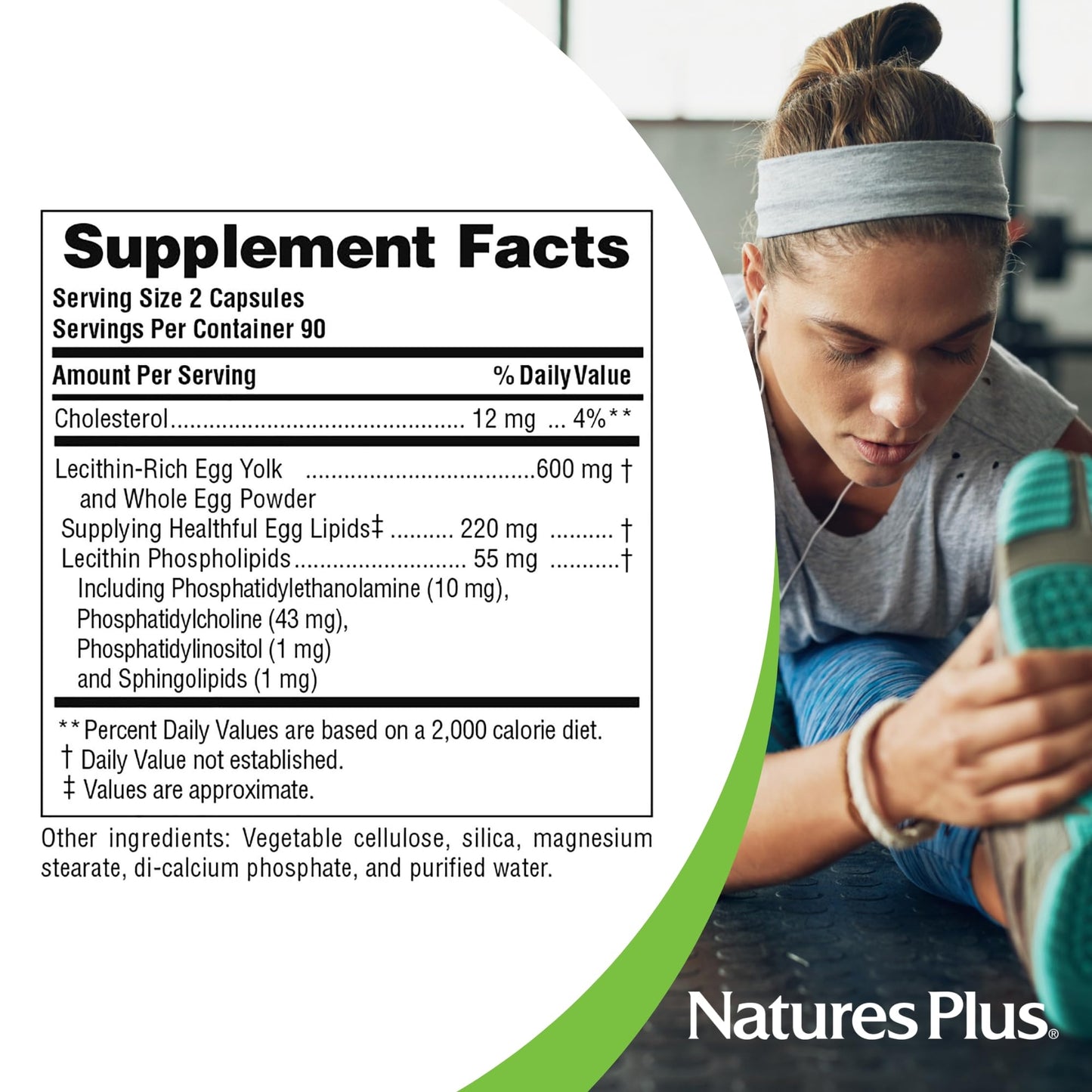 NaturesPlus Egg Yolk Lecithin 600 mg – 180 Capsules Pack of 2 – Soy Free & Gluten Free