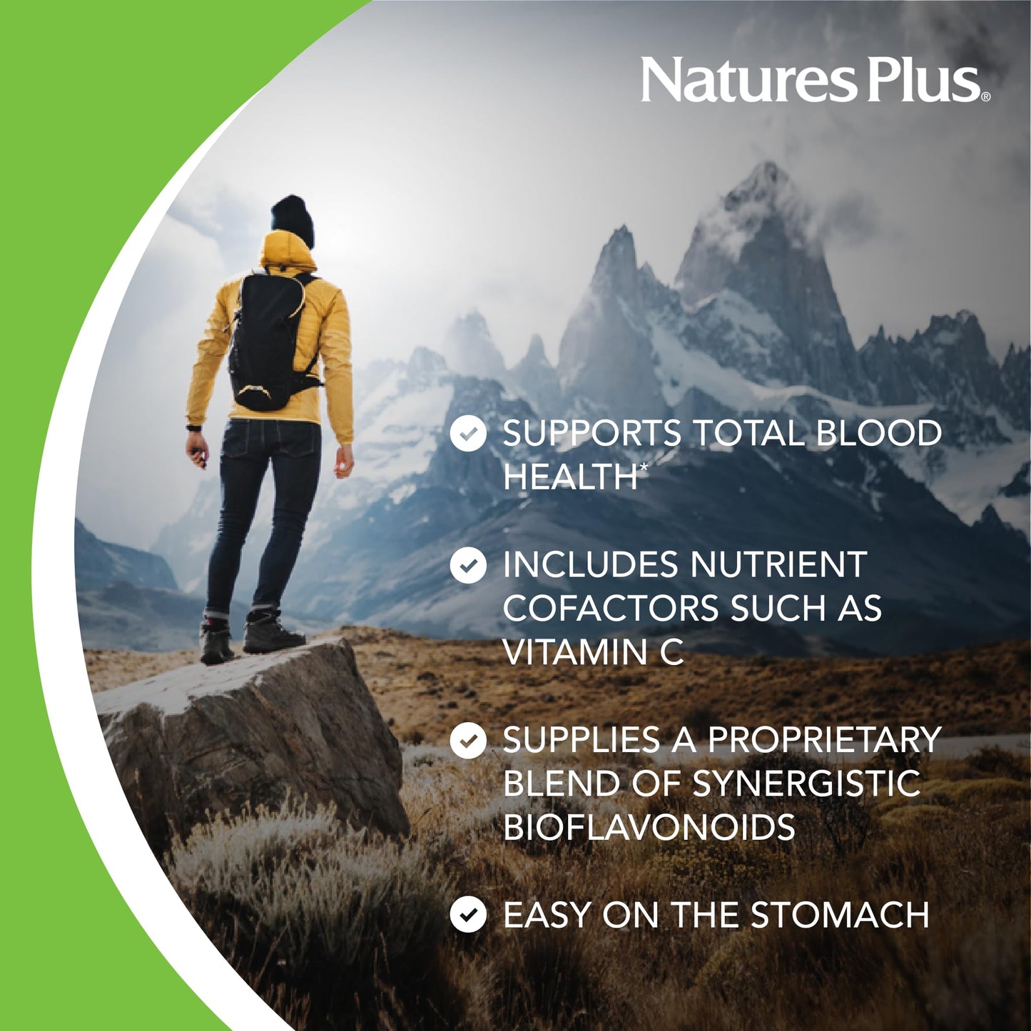 NaturesPlus Hema-Plex Iron | 60 Slow-Release Mini-Tabs (2 Pack) 85 mg Chelated Iron | Vegan & Gluten Free