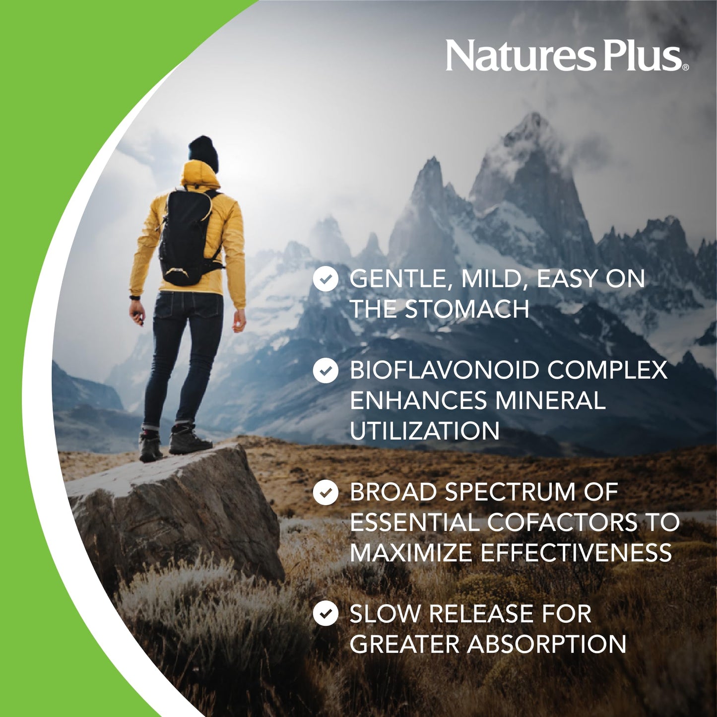 NaturesPlus Hema-Plex Iron | 85 mg Chelated Iron - 30 Slow-Release Tablets – Total Blood Health