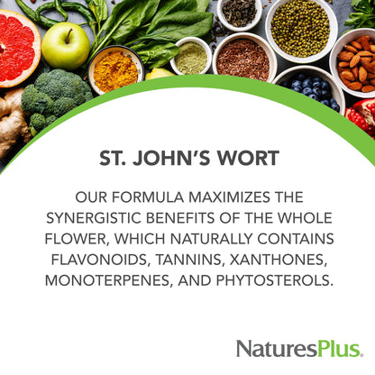 NaturesPlus Herbal Actives St John's Wort – Extended Release 450 mg, 60 Vegan Tablets