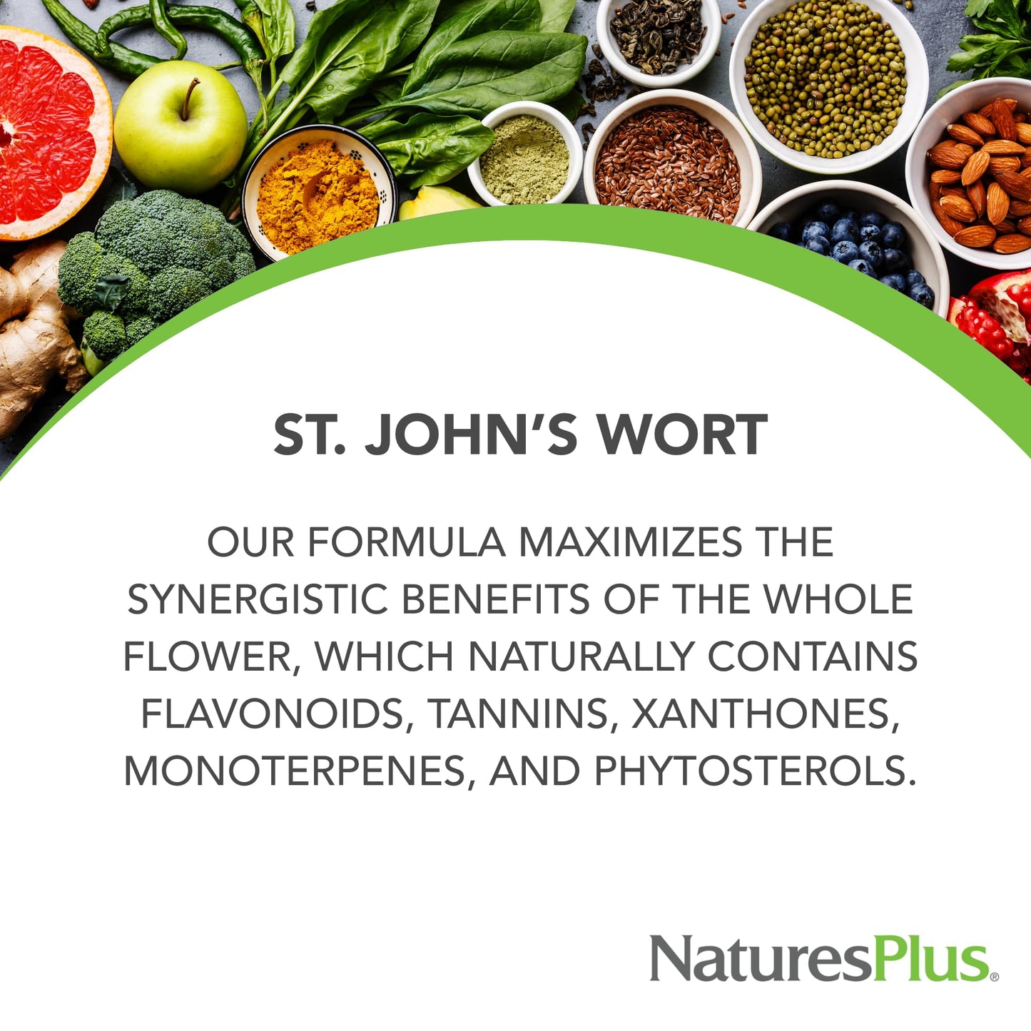 NaturesPlus Herbal Actives St. John’s Wort Extended Release — 120 Servings (60 Tablets x 2) | Vegetarian & Gluten Free