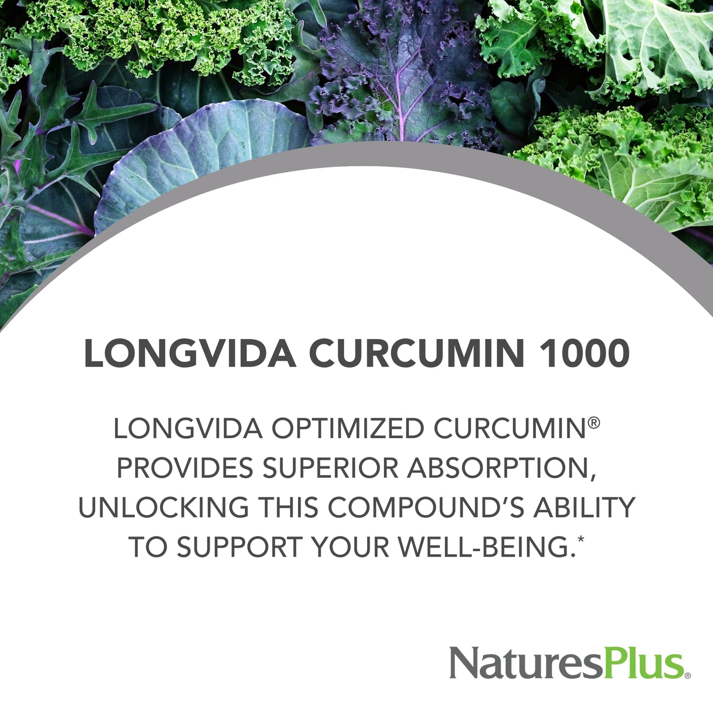 NaturesPlus PRO Longvida Curcumin 1000 mg - 60 Mini-Tabs, 30 Servings - Non-GMO, Vegan