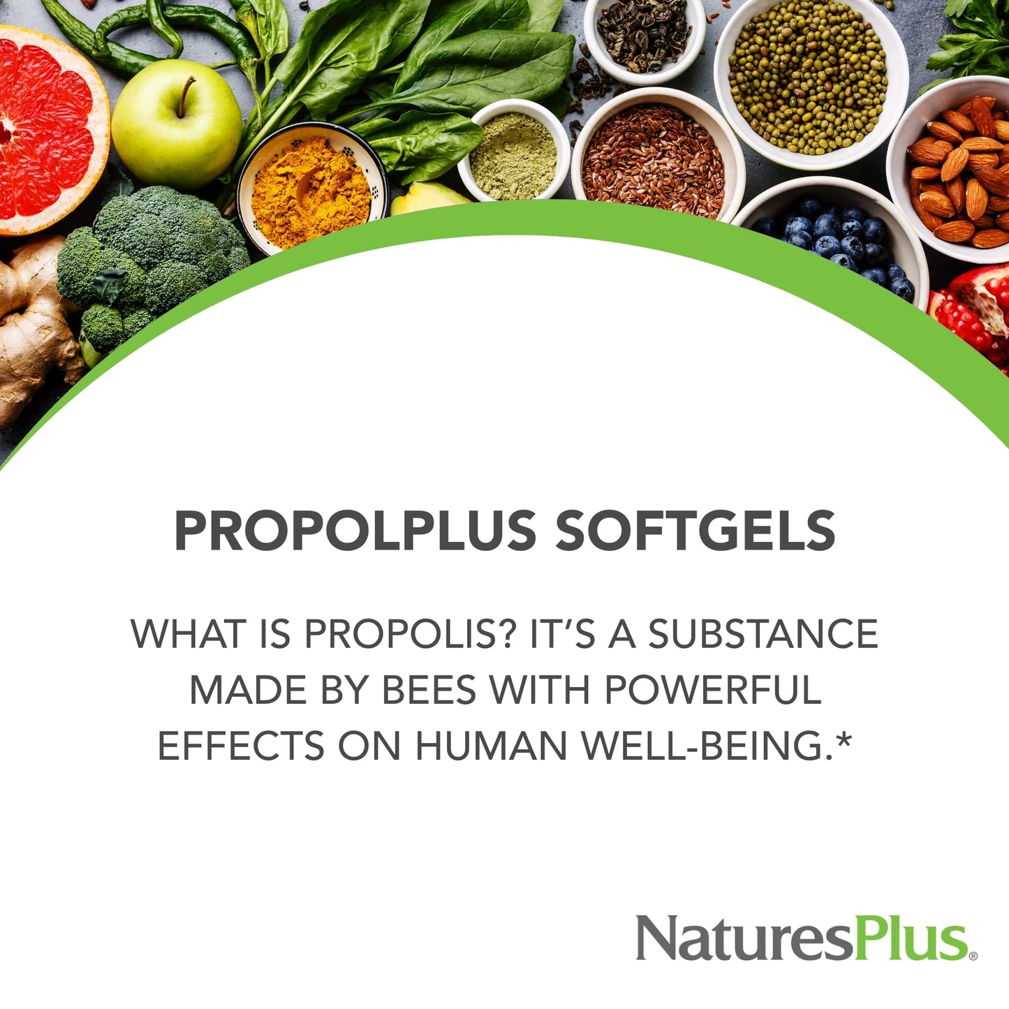 NaturesPlus Propolplus 180 mg Propolis Softgels with Bee Pollen