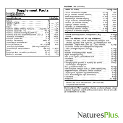 NaturesPlus Source of Life 3-Pack - 180 Tablets Multivitamin & Mineral