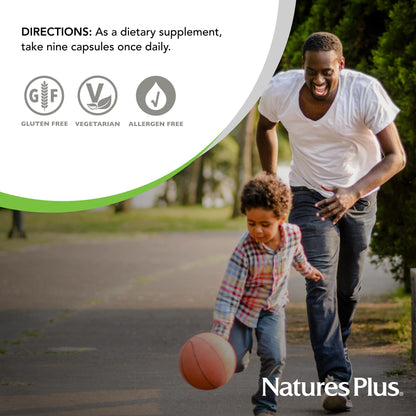 NaturesPlus Source of Life Gold Multivitamin - 90 Veg Capsules | D3, B12, K2 & 120+ Whole Foods
