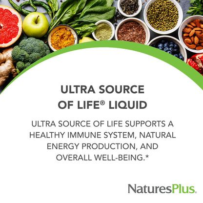 NaturesPlus Ultra Source of Life Liquid Mango Pineapple – Multivitamin with D3 & Lutein | Gluten Free & Vegetarian