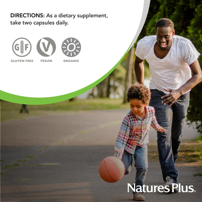 NaturesPlus Source of Life Garden Organic Vitamin C 500 mg - 60 Vegan Capsules
