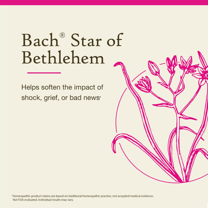 Nelson Bach Original Flower Remedies Star of Bethlehem – Neutralize Grief | 0.7 Fl Oz (20 ml) Pack of 1