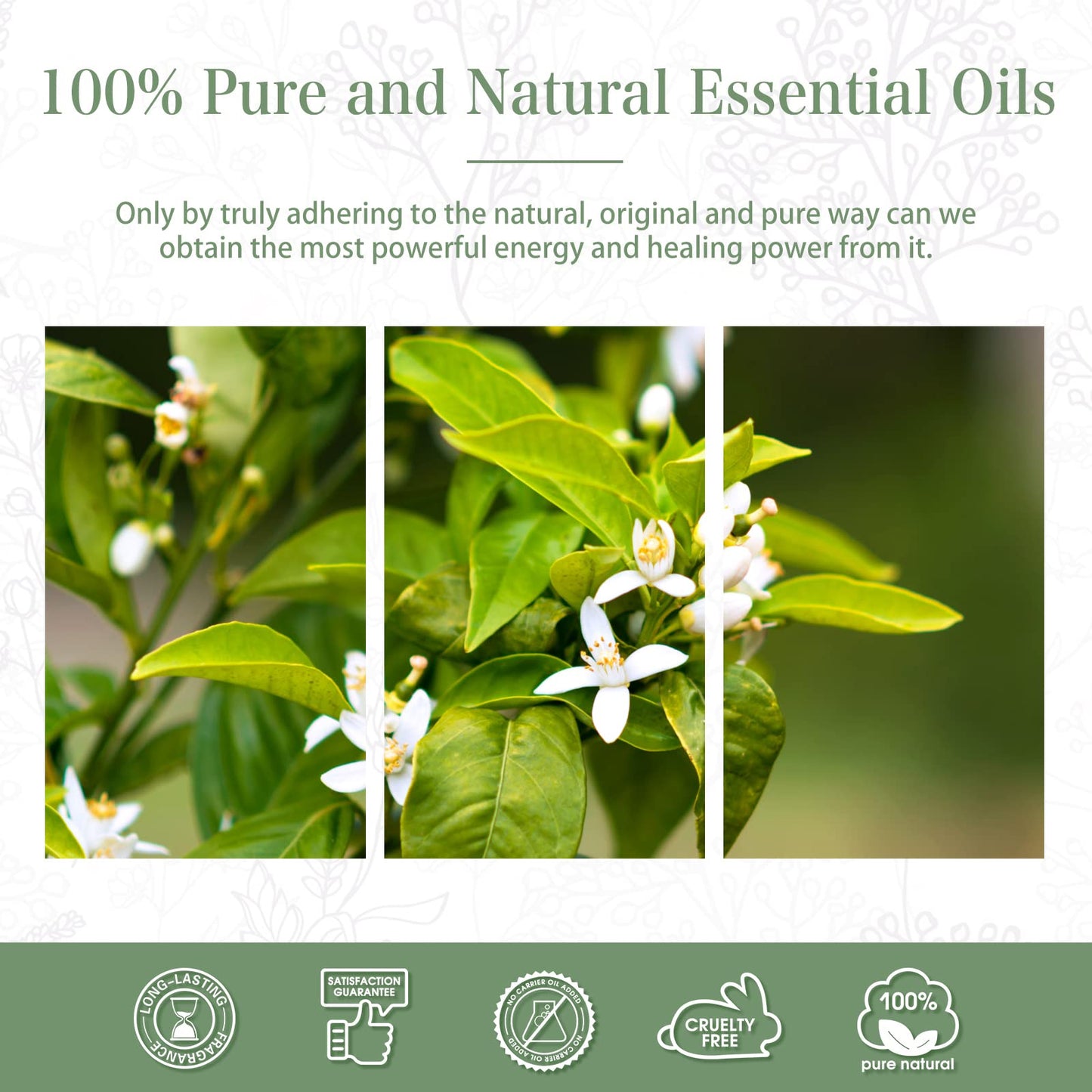Neroli Essential Oil 30ml | PHATOIL Pure Aromatherapy for Diffusers, DIY Candles & Soaps