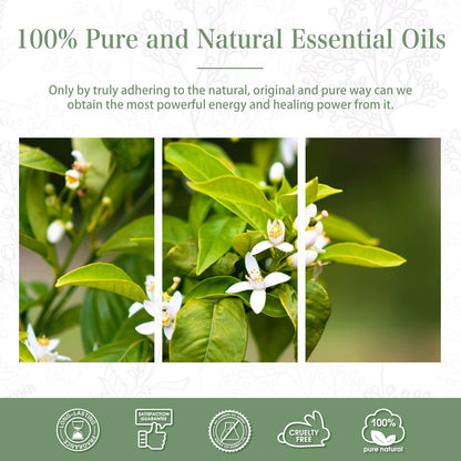 Neroli Essential Oil 100ml (3.38fl.oz) | PHATOIL Pure Aromatherapy for Diffusers & DIY Crafts