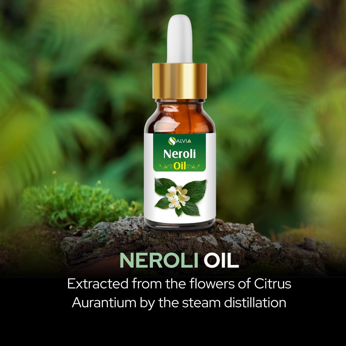 Neroli Oil 15 ML with Dropper – Pure Essential Oil by Salvia