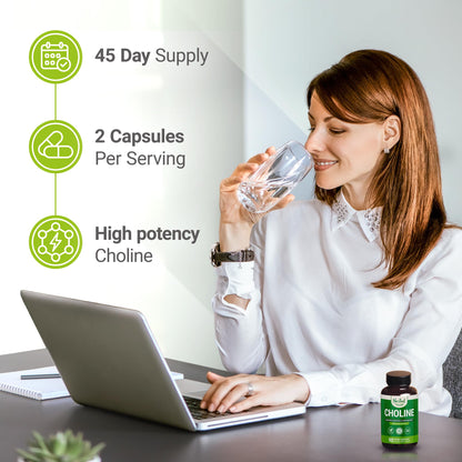 Nested Naturals Choline Bitartrate 500mg - High Potency Choline Supplements - Supports Cognitive Performance & Liver Function - 100% Vegan & Non-GMO Choline - 90 Vegan Capsules