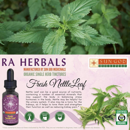 Organic Fresh Nettle Leaf Tincture - ANTIHISTAMINE, ALOPECIA, KIDNEY HEALTH, ANTI-INFLAMMATORY