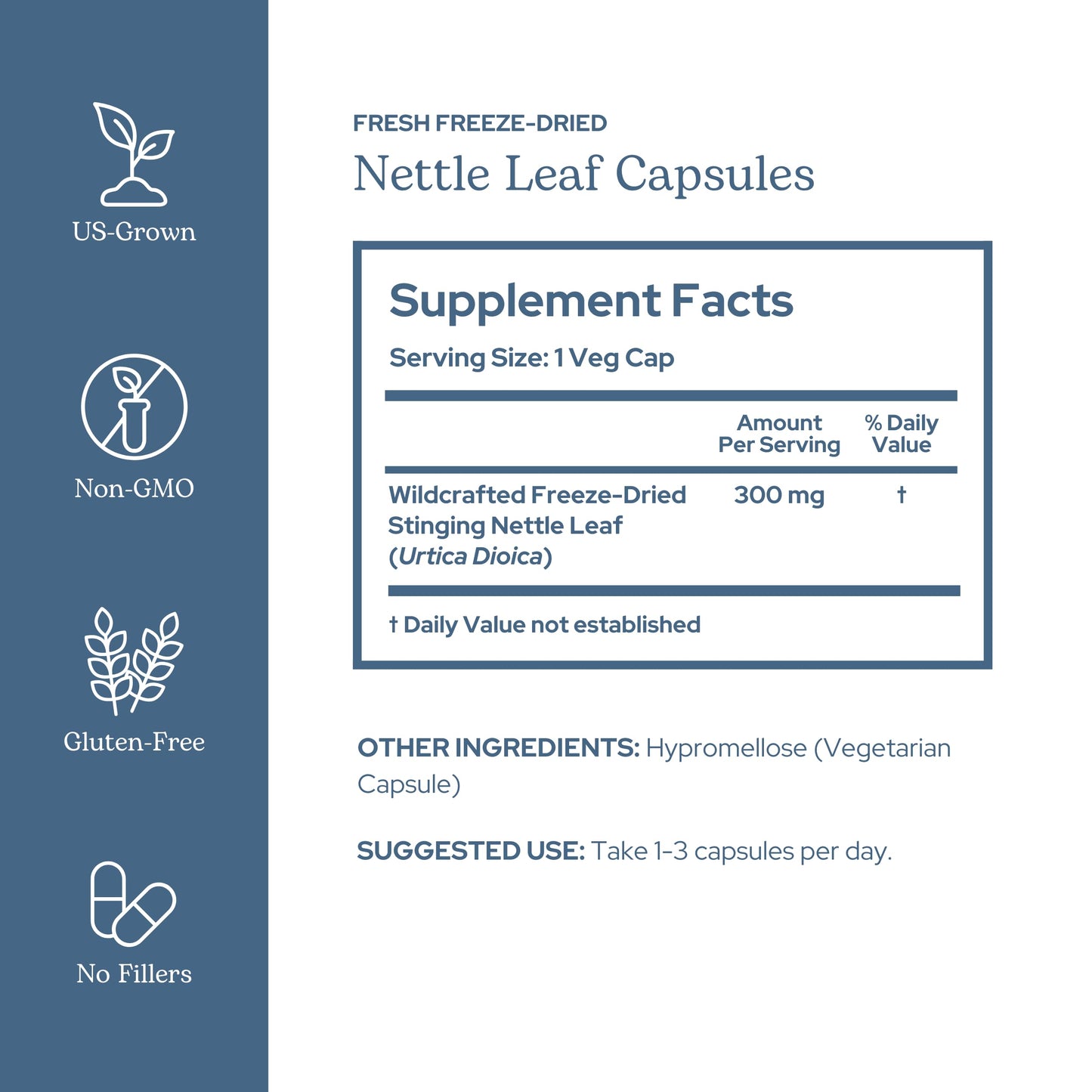 Eclectic Institute Nettle Leaf - Raw Freeze-Dried, Non-GMO, 90 CT