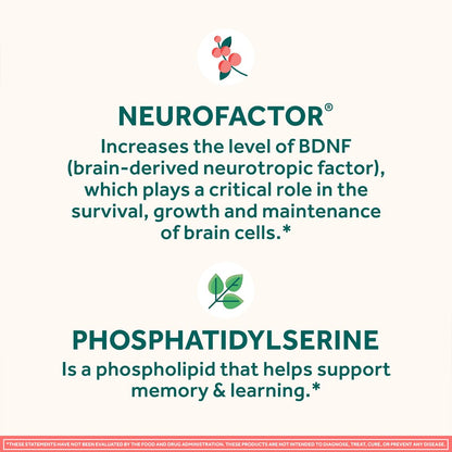 NEURIVA Original Gummies — Focus, Memory & Learning Support (Strawberry)