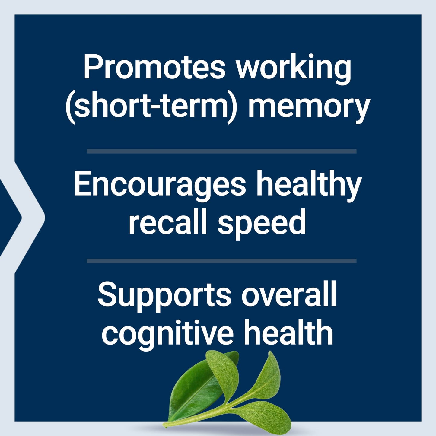 Neuro-Mag Magnesium L-Threonate Powder – Tropical Punch