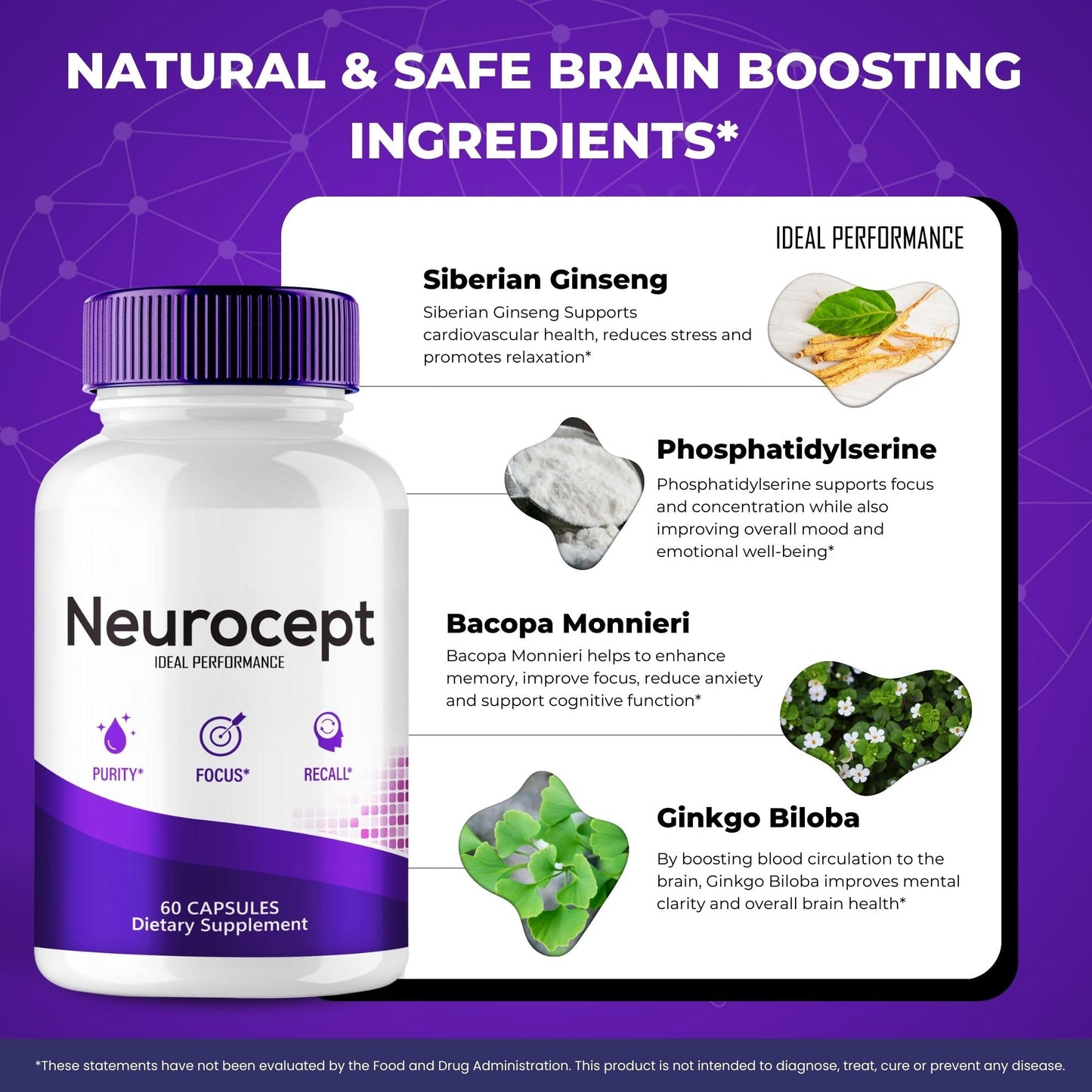 Neurocept Supplement – Brain Health Nootropics Pills (3 Pack)