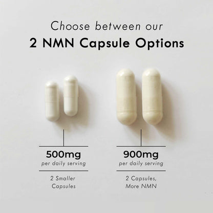Neurogan NMN Supplement Capsules – 500 mg NMN, 120 Ct | Brain Focus & Cellular Energy