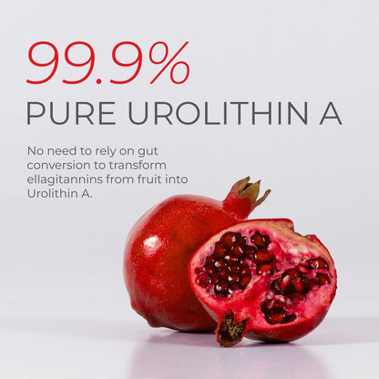 Neurogan Urolithin A Powder 800mg – Daily Wellness, Vegan & Gluten-Free | 30.4g