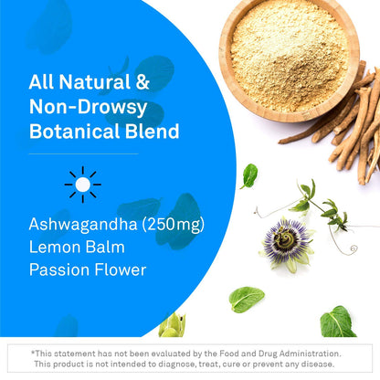 NeuroScience Alpha GABA – Non-Drowsy Calm Aid with L-Theanine, Lemon Balm, Sensoril Ashwagandha & Vitamin B6 (90 Capsules)