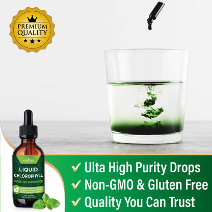 NEW AGE Chlorophyll Liquid Drops – Energy Booster, Digestion & Immune Support (2 Pack)