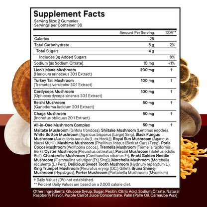 NEW AGE Mushroom Lion's Mane Gummies - 180 Count | 20+ Mushrooms, Reishi, Cordyceps | Made in USA
